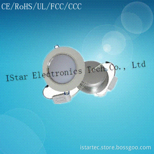 12W High Power LED Down Light